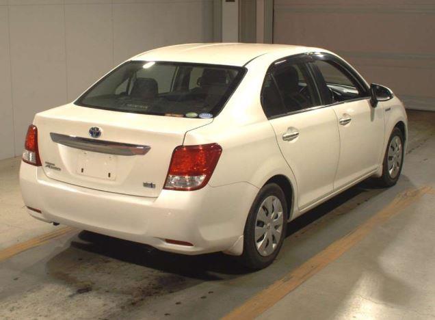Axio Hybrid G-Grade