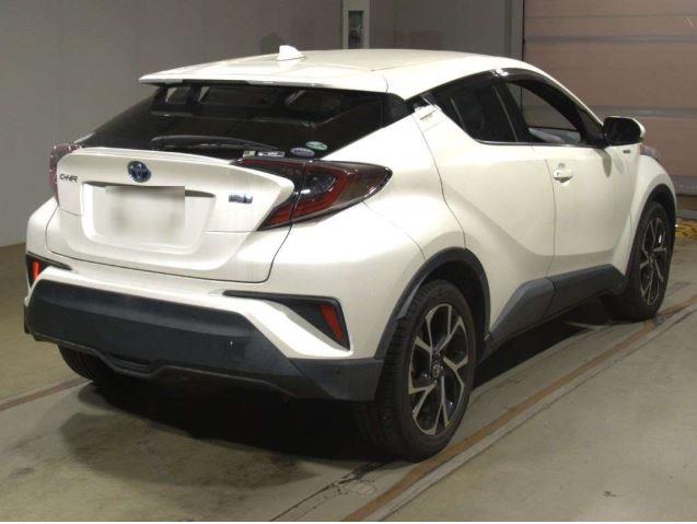 HYBRID G-LED