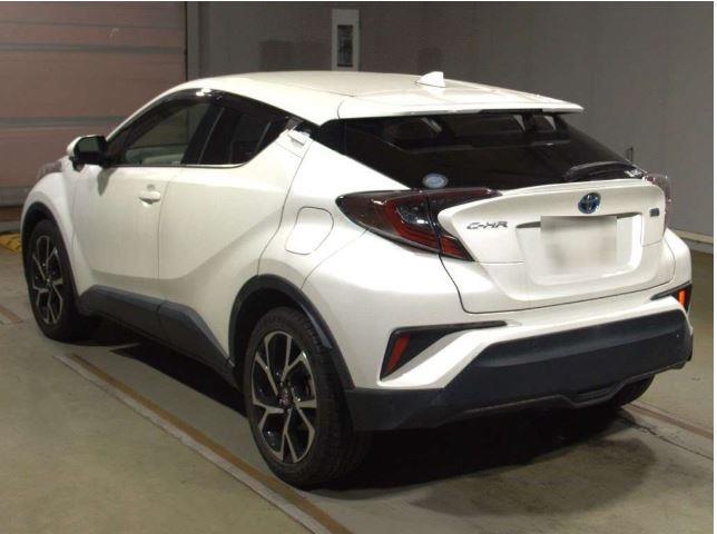HYBRID G-LED
