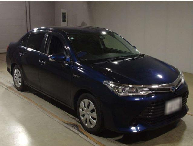 Axio Hybrid G-Grade