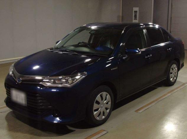 Axio Hybrid G-Grade
