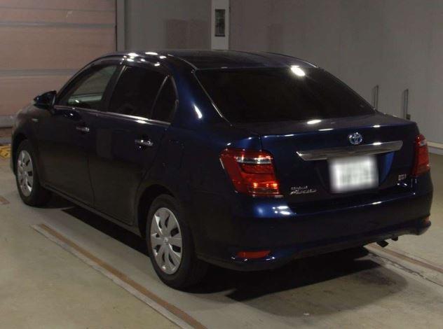 Axio Hybrid G-Grade
